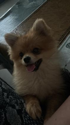 מתאים למשפחה עם ילדים אנשים