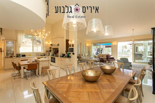 קמיל הויסמנס, דניה