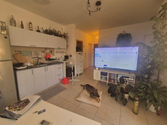 י ל פרץ 38, נוה שאנן