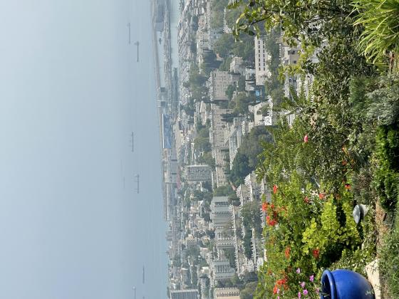 בשכונת כרמל צפוני