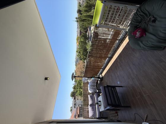 ציהתל"י 46, צהלון ושיכוני חסכון