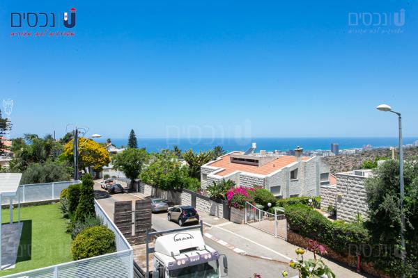 בשכונת דניה