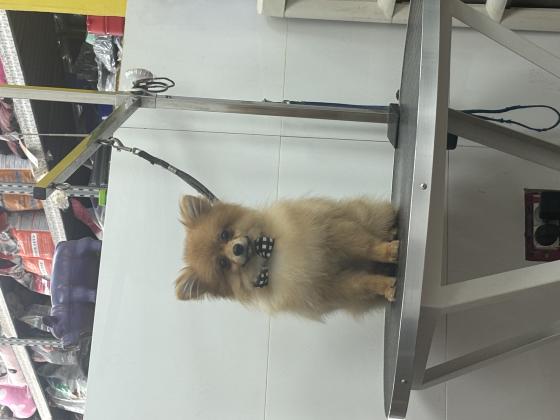 מתאים למשפחה עם ילדים אנשים