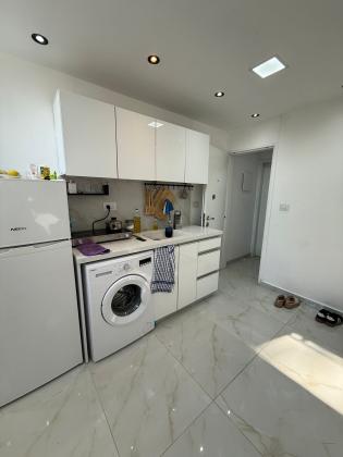 יהודה הלוי, בן גוריון