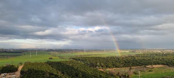 כרמל 13, אחוזת הנשיא