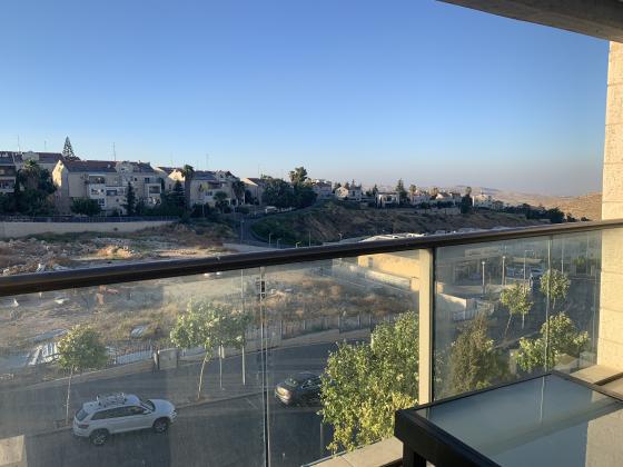 שטרן יורי, פסגת זאב