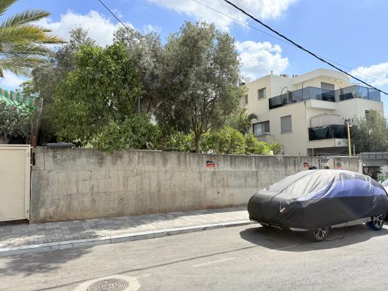 סמטת רחל, השחר