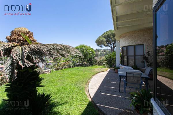 בשכונת דניה