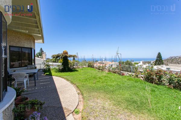 בשכונת דניה