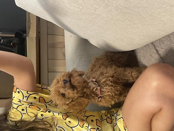 גורה מדהימה בת ארבעה חודשים