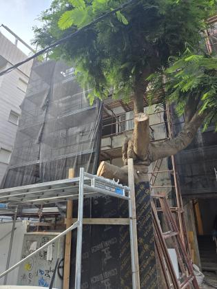 חיסין 9, הצפון הישן החלק הדרום מזרחי