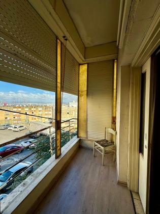 סירקין, הדר הכרמל