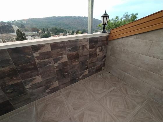 מרגנית 1, זאב