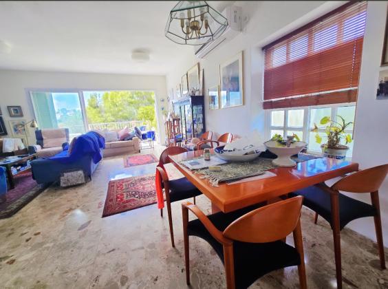 אלכסנדר ינאי 20, כרמליה