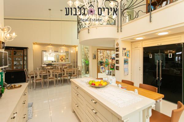 קמיל הויסמנס, דניה