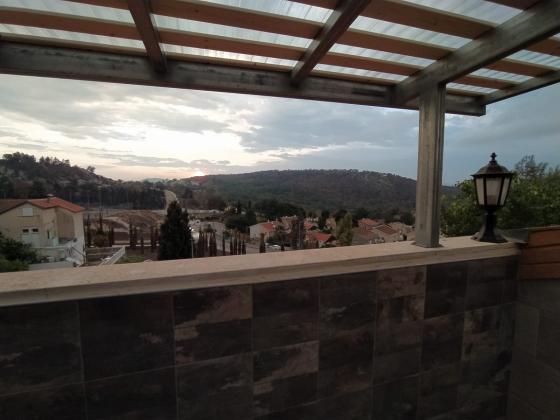 מרגנית 1, זאב