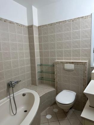 מצפה 59, חמניות