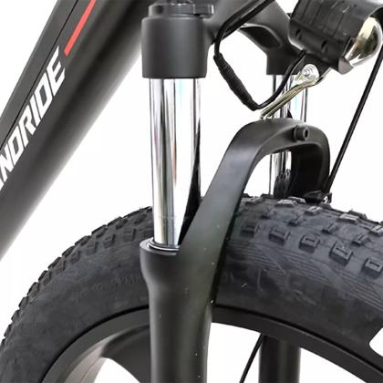 אופני הרים חשמליים RANDRIDE 20AH