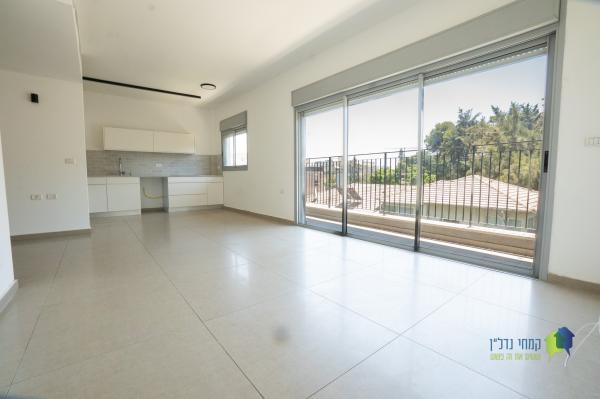 המעלות, שיינקין