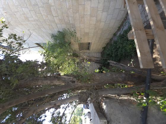 חזקיהו המלך 10, המושבה הגרמנית