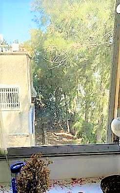 שדרות מוריה 62, שמבור