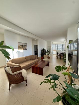 הכנסת 1, שיינקין