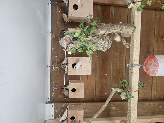 למכירה 2 להקות עובדים אש