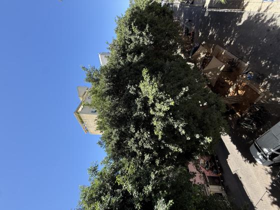 שדרות ושינגטון 29, פלורנטין