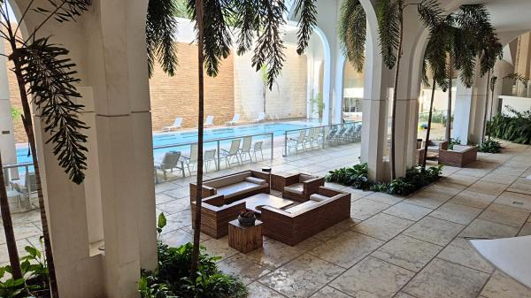 סשה ארגוב 31, המשתלה