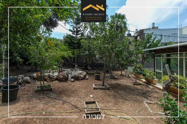 טשרניחובסקי, כרמל צרפתי