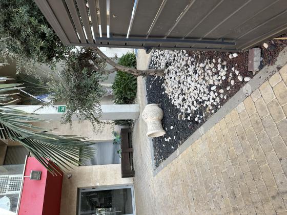 הרב פרץ ציוני 35, מרכז העיר