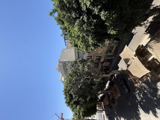 שדרות ושינגטון 29, פלורנטין