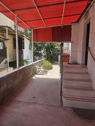 שפרינצק, נווה זית