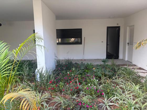 שלומציון המלכה, הצפון החדש החלק הצפוני