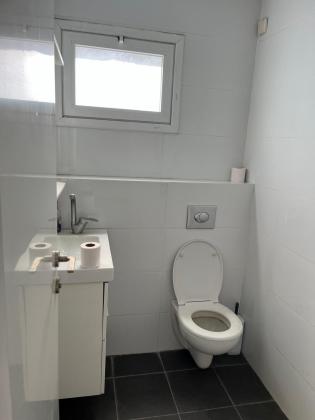 דקל 4, נווה עופר