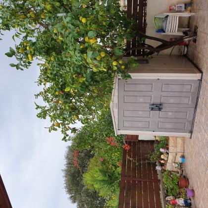 ערמונים 1, רמות יצחק