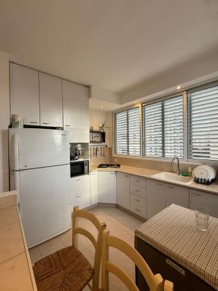 הכנסת 1, שיינקין