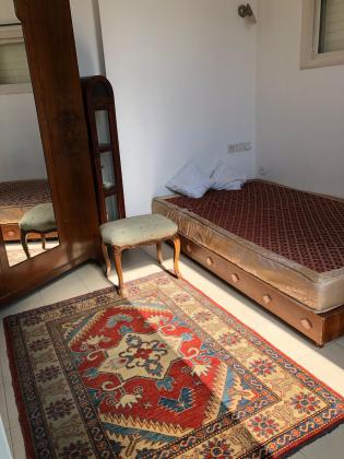 הכנסת 1, שיינקין