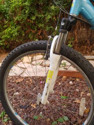 DIAMONDBACK WOMENאופני הרים זנב קשיח,