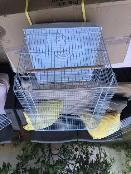 תוכון האכלת יד