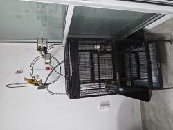 תוכי קוניור גרינצ'יק אננס,האכלת יד