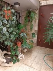 מבוא המאבק 26 (הגבעה הצרפתית)