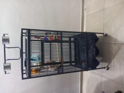 כלוב מקצועי הכי טוב בשוק