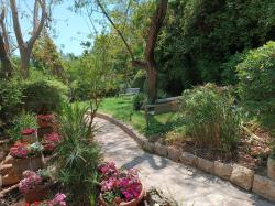 מבוא המאבק 26 (הגבעה הצרפתית)