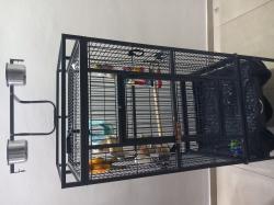 כלוב מקצועי הכי טוב בשוק