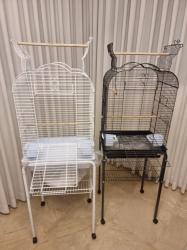 גרניציק האכלת יד מוחתמים כולל