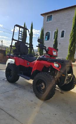 גורי פומרניאן מהממים למכירה ✨גורים