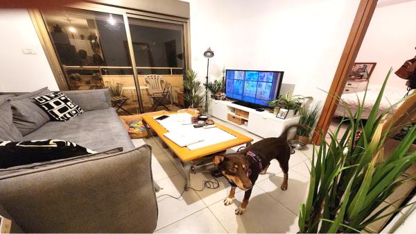 ארלוזורוב 36 (מרכז העיר א')