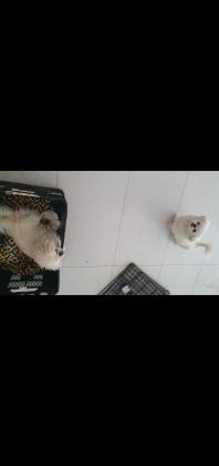 הכי זול בארץ