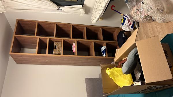 כוורת ענקית